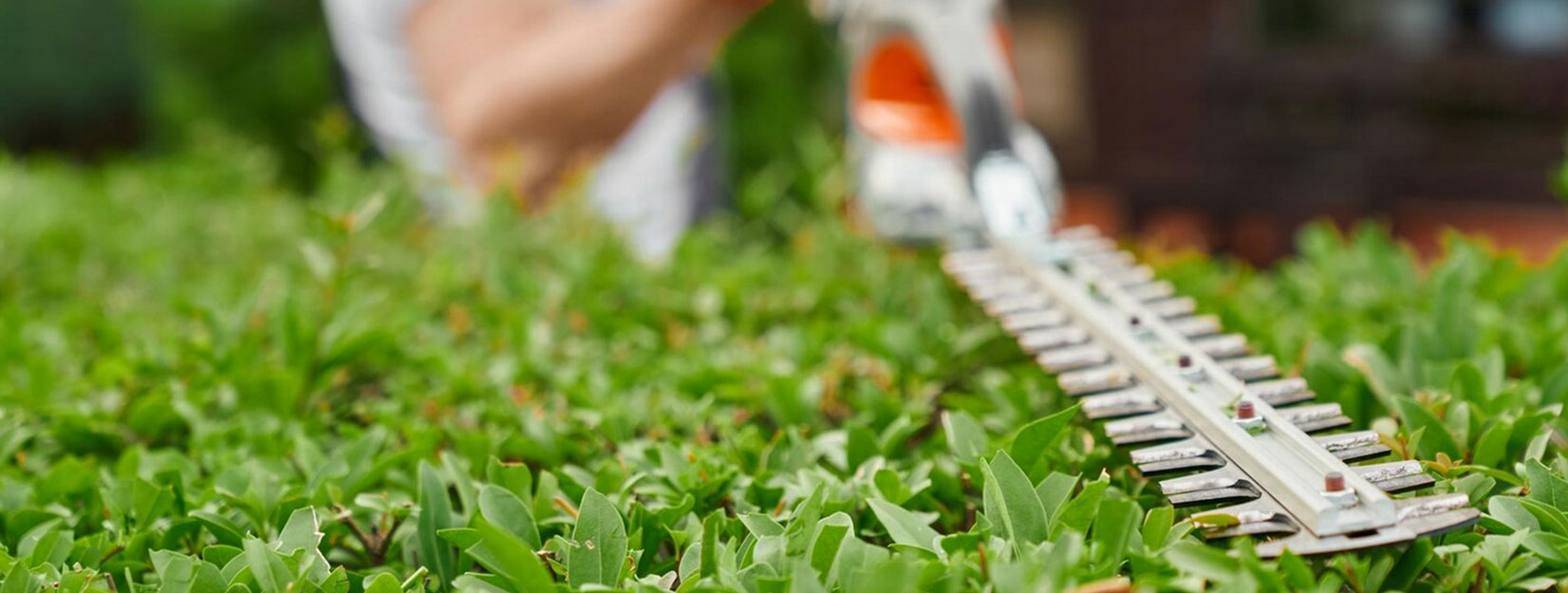 Quadrifoglio plus S.r.l., non solo pulizie